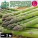 [2026 год .. предварительный заказ ]... зеленый спаржа L размер 2kg house культивирование прямая поставка от производителя производство прямой весна . Hokkaido aspala спаржа 