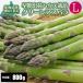 [2026 год .. предварительный заказ ]... зеленый спаржа L размер 800g house культивирование прямая поставка от производителя производство прямой весна . Hokkaido aspala спаржа 
