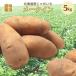 [ предварительный заказ ] картофель Hokkaido jagaimome-k in 5kg правильный товар *LM/L/2L.( новый картофель )