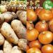  предварительный заказ картофель Hokkaido jagaimo... шар комплект Cme-k in LM/L/2L 5kg шар лук порей 4kg ( новый картофель ) лук 