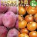 [ предварительный заказ ] картофель Hokkaido jagaimo... шар комплект H красный Anne tes5kg шар лук порей 4kg( новый картофель ) лук 