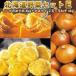 [ предварительный заказ ] картофель Hokkaido Hokkaido овощи комплект E in ka. ...S/M/LM/L/2L 4kg тыква 2 шар шар лук порей 4kg ( новый картофель )
