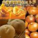 [ предварительный заказ ] картофель Hokkaido Hokkaido овощи комплект F...LM/L/2L 4kg тыква 2 шар шар лук порей 4kg ( новый картофель )