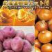 [ предварительный заказ ] картофель Hokkaido Hokkaido овощи комплект H красный Anne tesLM/L/2L 4kg тыква 2 шар шар лук порей 4kg ( новый картофель )