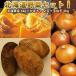 [ предварительный заказ ] картофель Hokkaido Hokkaido овощи комплект I север море желтый золотой LM/L/2L 4kg тыква 2 шар шар лук порей 4kg ( новый картофель )