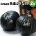 北海道産　黒王かぼちゃ 2個(1個1.6〜2kg前後) 野菜 北海道産 お礼 御祝 お取り寄せ 産直 内祝 南瓜