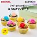  production ground shipping [. flower. cupcake 6 piece set ( rose )] freezing including carriage 