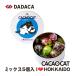 CACAOCAT Mix 5 штук входит ILOVE Hokkaido жестяная банка Hokkaido Hokkaido ограничение жестяная банка DADACA. земля производство kakao кошка шоколад кошка da Dakar .. трюфель бонбон 