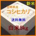 新米 宮崎県産コシヒカリ 白米5kg (平成30年産)