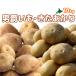  мужчина ...&.....10kg овощи комплект [2026 год осень .. Hokkaido подлинный .. производство [ Hokkaido / подлинный . производство / мужчина ./...../ дорога производство / Hokkaido производство / прекрасный тест ../ картофель ]