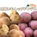  мужчина ...& красный Anne tes10kg овощи комплект [2026 год осень .. Hokkaido подлинный .. производство [ Hokkaido / подлинный ./ подлинный . производство / мужчина ./ Anne tes красный / дорога производство / Hokkaido производство / прекрасный тест ..]