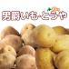  мужчина ...&...10kg овощи комплект [2026 год осень .. Hokkaido подлинный .. производство [ Hokkaido / подлинный ./ подлинный . производство / мужчина ./.../ дорога производство / Hokkaido производство / прекрасный тест ../ картофель ]