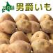  мужчина ...[2026 год осень ..] Hokkaido подлинный .. производство [ Hokkaido / подлинный ./ подлинный . производство / мужчина . клубень / дорога производство / Hokkaido производство / прекрасный тест ../ картофель / мужчина .]