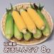 [BS-201] Hokkaido юг тент производство ..... 8шт.@[ ограниченное количество ][ Hokkaido / кукуруза / сырой кукуруза /.. просо / редкий ]