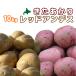 ki....& красный Anne tes10kg овощи комплект [2026 год осень .. Hokkaido подлинный .. производство [ Hokkaido / подлинный . производство /...../ Anne tes красный / Hokkaido производство / прекрасный тест ..]
