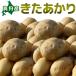 ki....[2026 год осень .. Hokkaido подлинный .. производство [ Hokkaido / подлинный ./ подлинный . производство / север .../ дорога производство / Hokkaido производство / прекрасный тест ../ картофель /jagaimo]