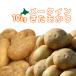 me-k in &.....10kg овощи комплект [2026 год осень .. Hokkaido подлинный .. производство [ Hokkaido / подлинный . производство /mei Queen /...../ дорога производство / Hokkaido производство / прекрасный тест ..]