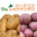 me-k in & красный Anne tes10kg овощи комплект [2026 год осень .. Hokkaido подлинный .. производство [ Hokkaido / подлинный ./ подлинный . производство / Anne tes красный / дорога производство / Hokkaido производство / прекрасный тест ..]