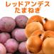  красный Anne tes& лук репчатый 3kg/10kg овощи комплект [2026 год осень .. Hokkaido подлинный .. производство ]