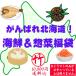[ включая доставку ].... Hokkaido! морепродукты & ежедневное блюдо лотерейный мешок ( бамбук :10,000 иен ) еда Roth капот Roth 