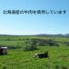 ���������i �k�C���Y ���[�X�g�r�[�t ���Y �����񂹃O���� 200g�u���b�N�~1��  �M�t�g �֘A�摜4