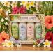  корпус лосьон Гаваи Island Soap &amp; Candle Works 4 шт. комплект Botanical Lotion TRPPICAL CELLECT Гаваи. аромат aroma подарок подарок 