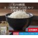 白米 2kg  令和元年産 石川県産 新米  赤とんぼ  こしひかり エコ栽培米  送料無料