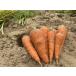  нет пестициды EM сельское хозяйство закон морковь [ лист нет грязь имеется ]( морковь )1 пакет 3kg
