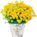 [ наш магазин сельское хозяйство место производство ]tagetes Gold медаль PW 9cm pot рассада половина выдерживающий холод . много год .