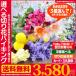 送料無料 切り花 バイキング / 自分で選べる 福袋 !組み合わせ自由