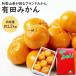  Arita house мандарин Arita мандарин мандарин mi can 1.2kg фрукты подарок бесплатная доставка фрукты подарок на Bon Festival Wakayama Arita ..... праздник несессер [MN][ Arita мандарин 1.2kg]