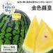  День отца Wakayama Tottori префектура производство др. большой шар ... золотой цвет ..1 шар примерно 8kg 3L размер желтый цвет ... арбуз запад . подарок подарок праздник [BO] [ День отца золотой цвет ..1 шар (3L)]