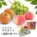 �V���C���}�X�J�b�g �� �� �h�V�̓� �}�X�J�b�g �Ȃ� ���� �t���[�c �l�ߍ��킹 ������ �ăM�t�g ���j�� ������ ���~�yBO�z[�Ă̍ʂ�t���[�c�Z�b�gA]:�①
