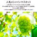 �V���C���}�X�J�b�g �� �� �h�V�̓� �}�X�J�b�g �Ȃ� ���� �t���[�c �l�ߍ��킹 ������ �ăM�t�g ���j�� ������ ���~�yBO�z[�Ă̍ʂ�t���[�c�Z�b�gA]:�① �֘A�摜3