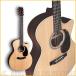 Martin GPC-16E Rosewood̵ Martin3å&ǽɥץ쥼ȡ(ͽ) ONLINE STORE