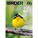  на следующий день отправка *BIRDER ( балка da-) 2026 год 06 месяц номер 