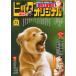 Big Comic оригинал 2026 год 7|5 номер 