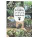  на следующий день отправка * суккулентное растение &ko- Dex GuideBook/... . фирма 