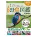  прекрасный щебетать голос . слушайте .. близко . дикая птица иллюстрированная книга /. средний ..