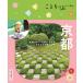  Kyoto 6 версия 