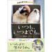  на следующий день отправка * всегда, когда . тоже. Tanba газета [ птица часть ] фото книжка / Morita ..