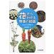  на следующий день отправка * цветок из понимать овощи. иллюстрированная книга / черепаха рисовое поле дракон .