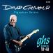 ghs / David Gilmour Signature / Blue Set / GB-DGF / Boomers / �ǥ������å� ����⥢ / ���쥭�������� / Fender / �����ɥѡ���Ź�߸���