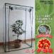 �r�j�[���n�E�X ���� �ƒ�p �����n�E�X �ϗt�A�� �p�C�v �r�j�[������ ������� DIY �r�j�[�� ���^ �K�[�f���n�E�X �Ȉ� �_�� �x�����_