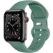 Apple Watch Х åץ륦å ٥( ѥˡɥ륰꡼,  L(42/44/45/49))