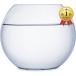 [Yahoo! ranking 1 rank go in .] terrarium decorative plant interior aquarium fishbowl also ( 25cm)