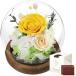 �v���U�[�u�h�t�����[ �K���X�h�[�� ���� ���蕨 �v���[���g �L�O�� ��̓� �l�C�v���[���g �z���C�g�f�[ �o�����^�C���f�[ (�C�G���[)