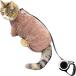 ru нет . кошка Lead имеется Harness выпадение нет кошка для прогулка для кошка. прогулка для Lead Harness одежда (.... Brown, XXL)
