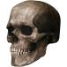 .. череп маска Halloween каркас headgear Halo we nla Tec s костюмированная игра маска ужасы душа ужасы .. маска для лица 
