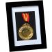  награждение медаль место хранения медаль держатель медаль кейс медаль box медаль дисплей подставка медаль . орнамент . рама ( черный )